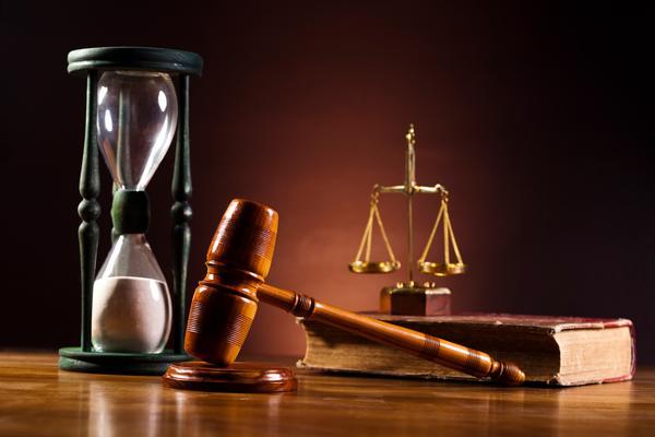 苑文超交通肇事罪一审判处书公布，维护公平正义 图2