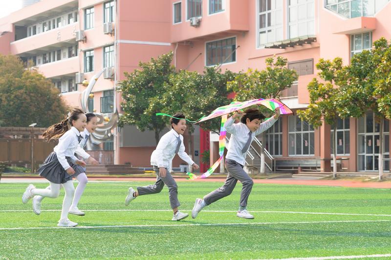 交通肇事逃逸与追逐：法律界定与责任追究 图1